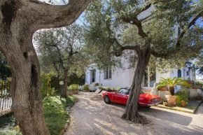 Amore Rentals - Casa Punta del Capo